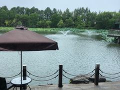 -上海怡沁园度假酒店