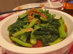 -西贝莜面村(赛格国际购物中心店)