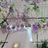 丝路花雨语餐厅