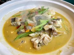 黄焖鲟龙鱼-饭怕鱼(阳光100店)