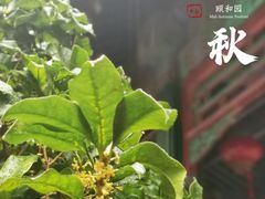 -颐和园