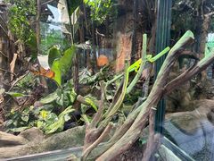 -厦门园林博览苑