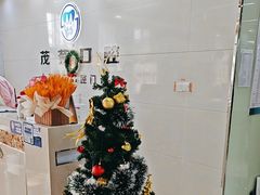 -茂菊口腔连锁(浦东南路店)