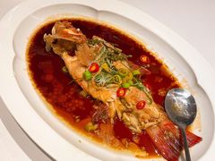 青花椒蒸东星斑-伯衡55·吉品轩(乌鲁木齐南路店)