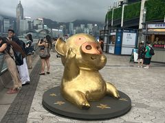 -星光大道