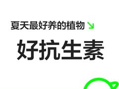 -牛街清真满恒記(平安里西大街店)
