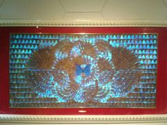 -上海昆虫博物馆