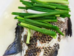 -锐记美食店·现捞海鲜(闸坡店)