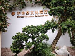 -中国茶叶博物馆(双峰馆区)