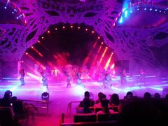 -珠海横琴长隆《卡卡虎奇遇记》