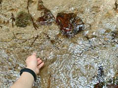 -七仙岭温泉国家森林公园