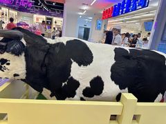 -红星前进面包牛奶公司(君太店)