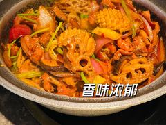 -禄婶鸡煲·打边炉