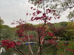 -范蠡湖公园