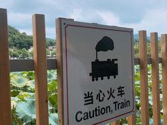 -红山村
