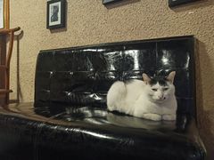 -CLUE演绎实景剧本杀(江南西店)