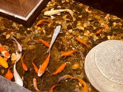 -颐和•海鲜砂锅粥•啫啫煲(奥林匹克广场店)