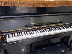 -谈·PIANO(金唐新光界店)