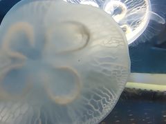 -横店影视城梦幻谷园区