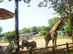 -大连森林动物园