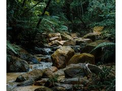 -世间香境·七溪地