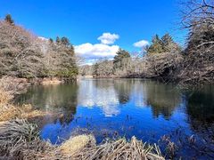 -宫城藏王狐狸村