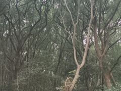 -赭山公园