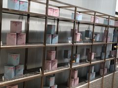 -奈雪的茶(石家庄万象城店)