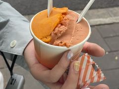 柳橙南瓜-Dip in Gelato(富民路店)
