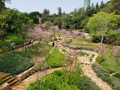 -狐尾山公园