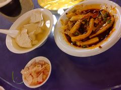 -龙翔山庄雷鸡肉(青城后山泰安古镇店)