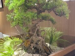 -湘邻呷铺·田园家宴(汉基广场店)