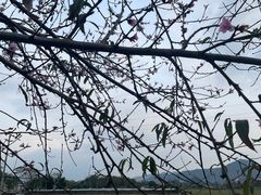 -英西峰林·洞天仙境