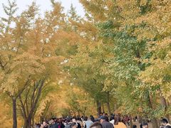 -白马涧龙池景区