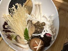 -洪氏嗨捞·猪肚鸡火锅(阳光天地店)