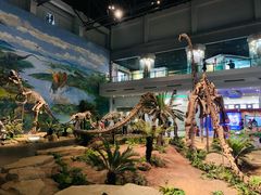 -自贡恐龙博物馆