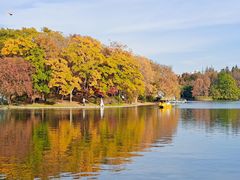 -上海共青森林公园