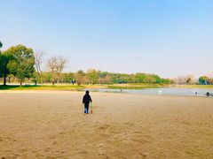 -上海佘山世茂艾美酒店