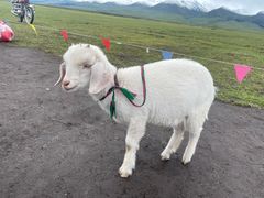 -新疆那拉提国家旅游度假区