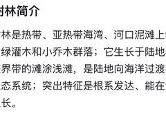 -宝安西湾红树林湿地公园