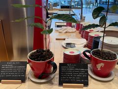 -TABLE·味西餐厅-成都茂业JW万豪酒店