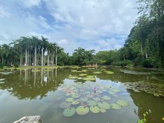 -中国科学院西双版纳热带植物园