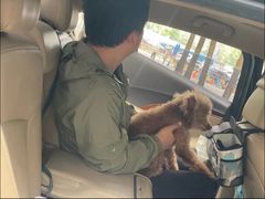 -美联众合动物医院·24h转诊中心