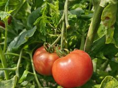 -兴芮温泉度假区