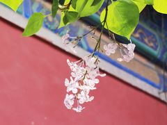 -贺兰山·西北菜(牛街总店)