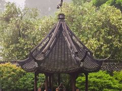 -上海醉白池公园