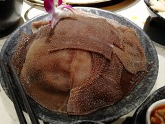 招牌空运毛肚-哥老官重庆美蛙鱼头(宝山龙湖店)