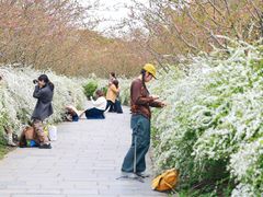 -共青国家森林公园-售票处