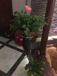 -YESIDO椰岛造型烫发染发