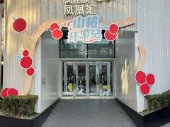 -凤凰汇购物中心